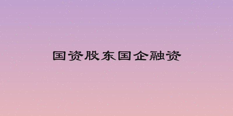 国资股东国企融资