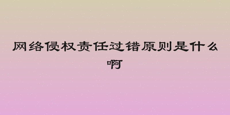 网络侵权责任过错原则是什么啊