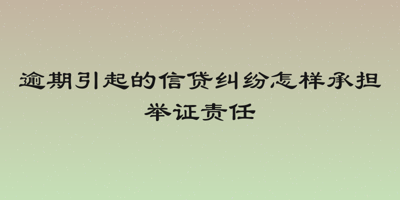 逾期引起的信贷纠纷怎样承担举证责任