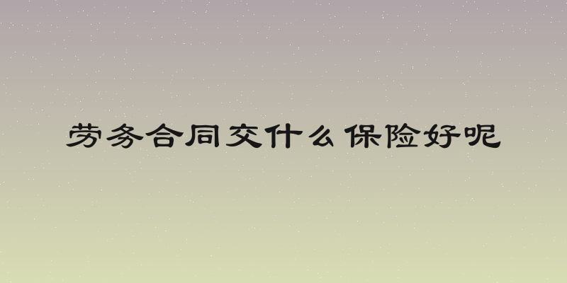 劳务合同交什么保险好呢