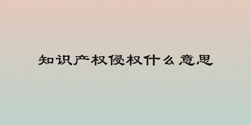 知识产权侵权什么意思