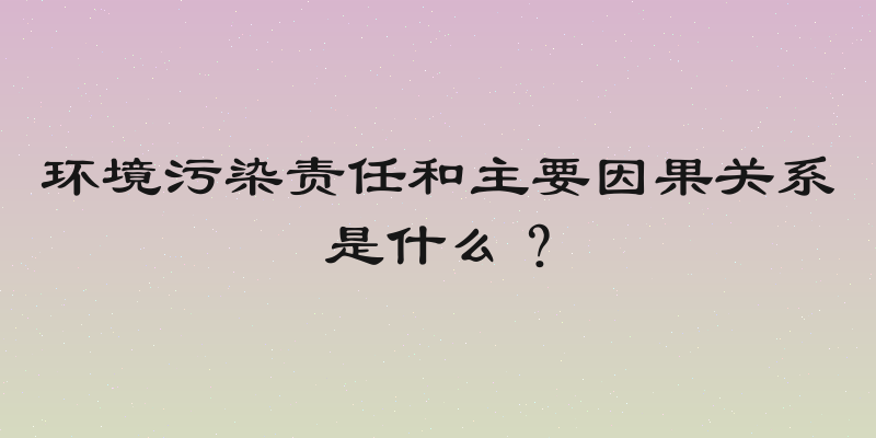 环境污染责任和主要因果关系是什么？