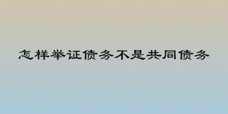 怎样举证债务不是共同债务