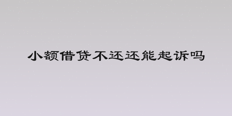 小额借贷不还还能起诉吗