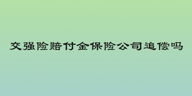 交强险赔付金保险公司追偿吗