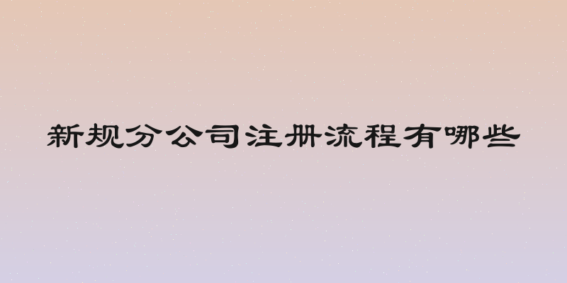 新规分公司注册流程有哪些