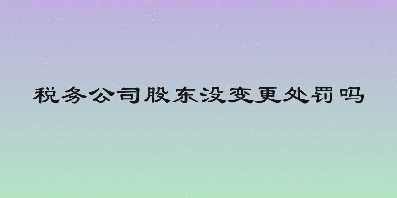 税务公司股东没变更处罚吗