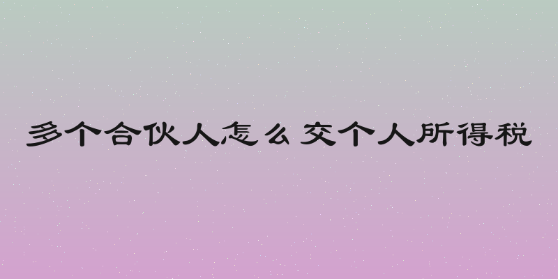 多个合伙人怎么交个人所得税