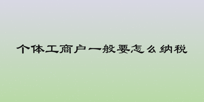 个体工商户一般要怎么纳税