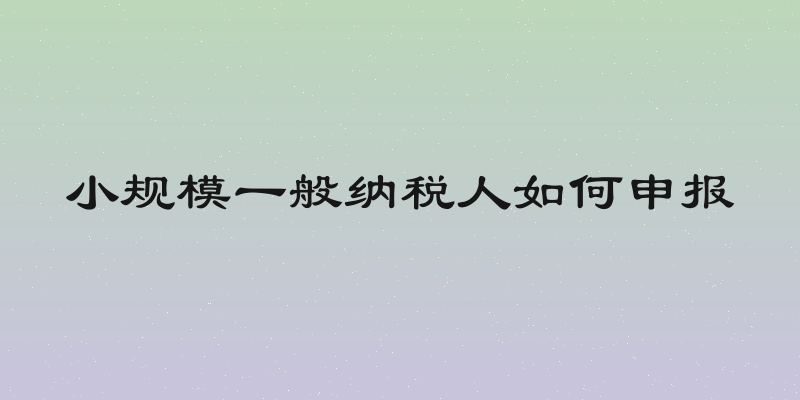 小规模一般纳税人如何申报