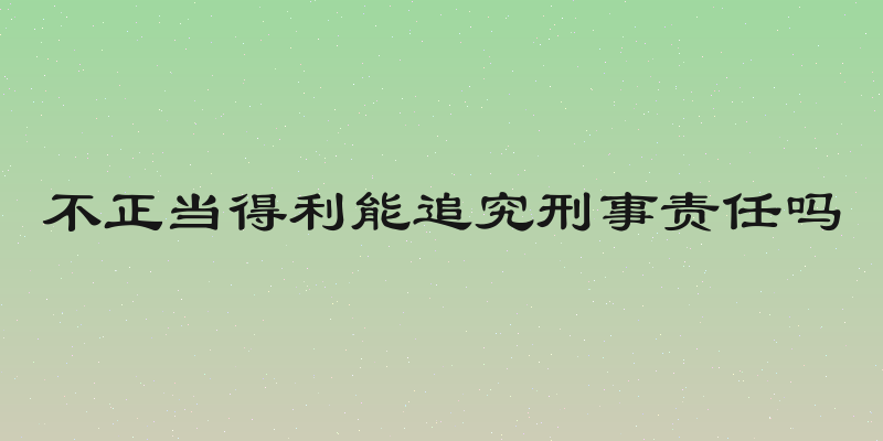 不正当得利能追究刑事责任吗