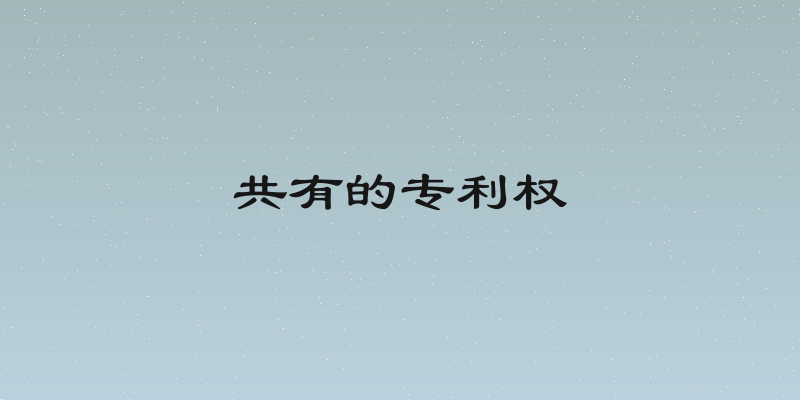 共有的专利权