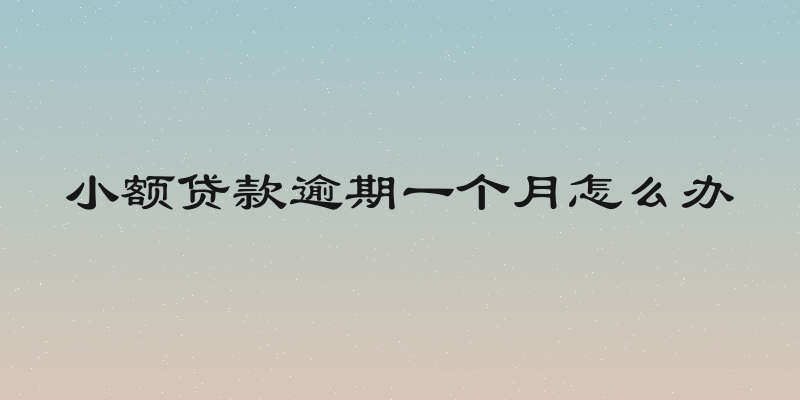 小额贷款逾期一个月怎么办