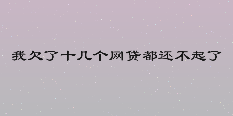 我欠了十几个网贷都还不起了
