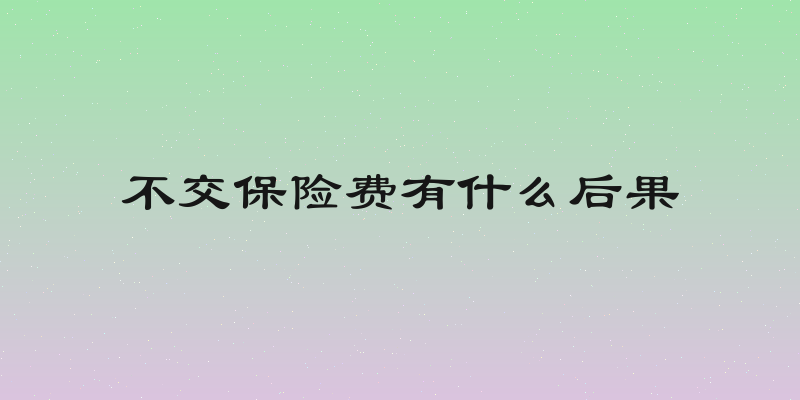 不交保险费有什么后果