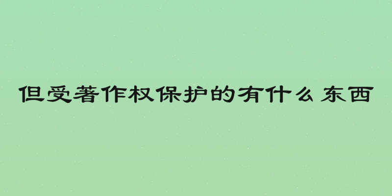 但受著作权保护的有什么东西