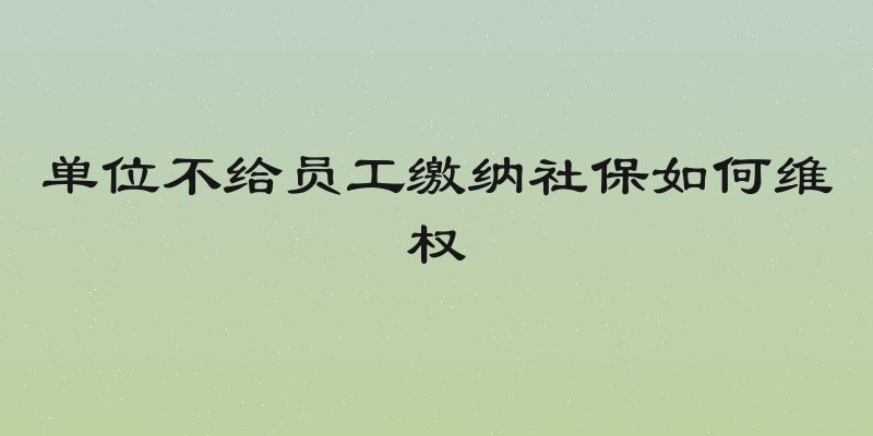 单位不给员工缴纳社保如何维权