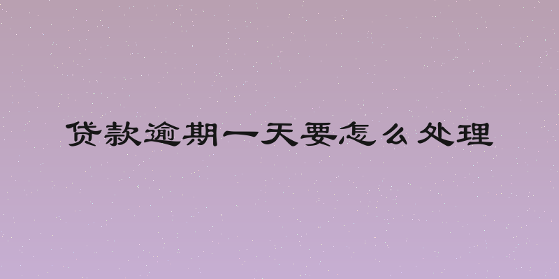 贷款逾期一天要怎么处理