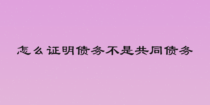 怎么证明债务不是共同债务