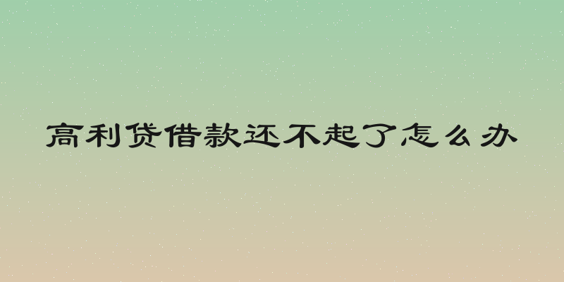高利贷借款还不起了怎么办