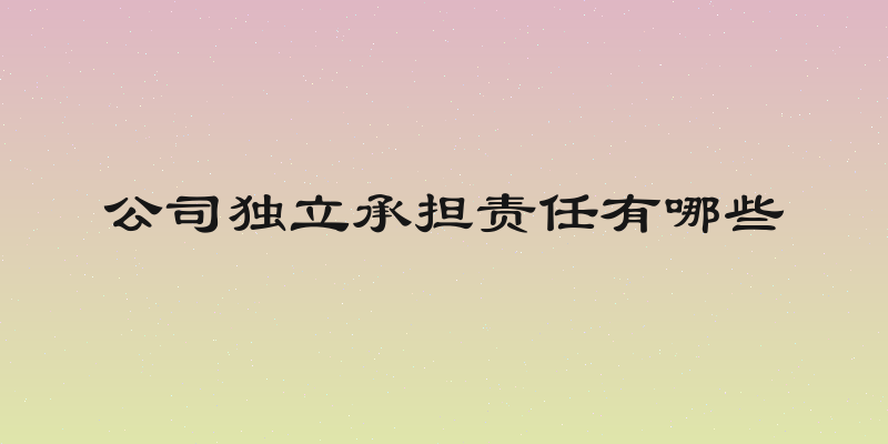 公司独立承担责任有哪些