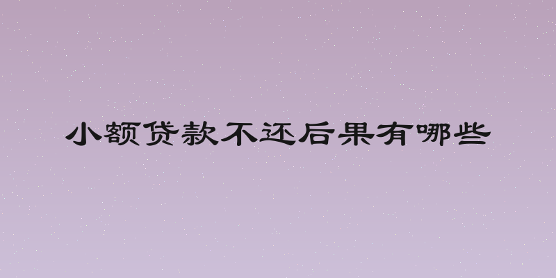 小额贷款不还后果有哪些