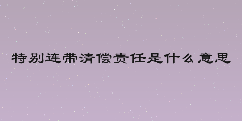 特别连带清偿责任是什么意思