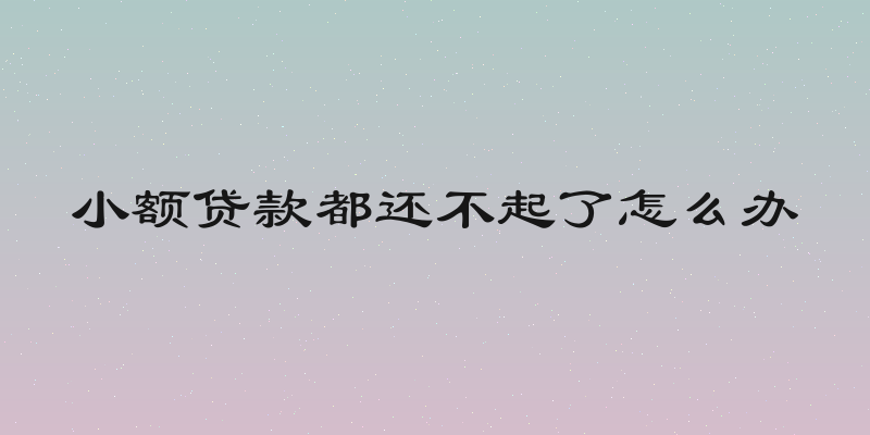 小额贷款都还不起了怎么办