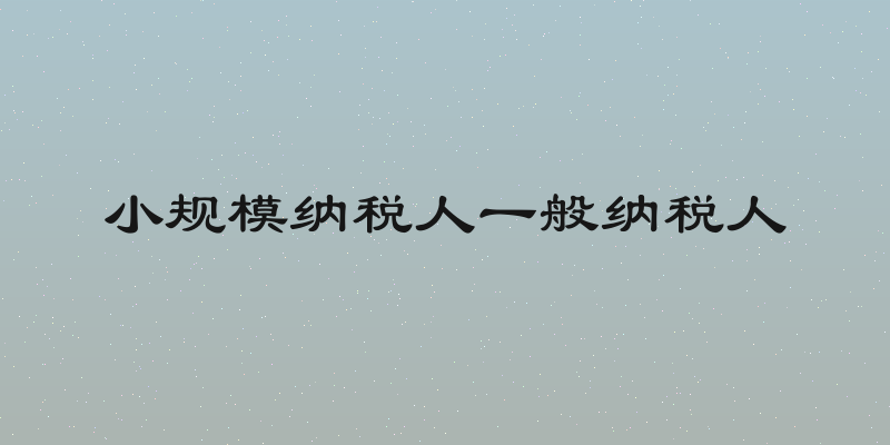 小规模纳税人一般纳税人