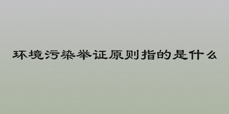 环境污染举证原则指的是什么