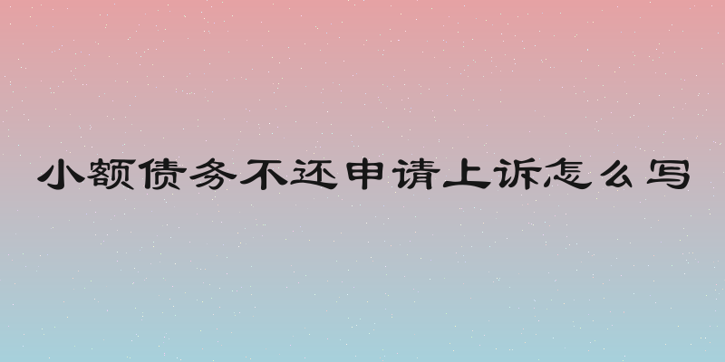 小额债务不还申请上诉怎么写