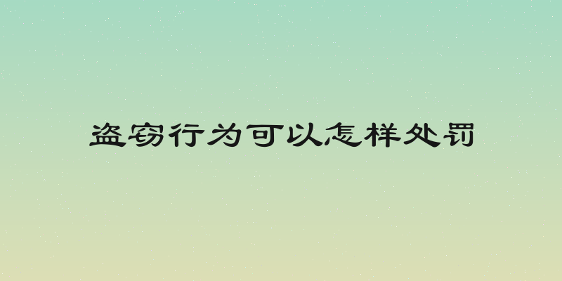 盗窃行为可以怎样处罚