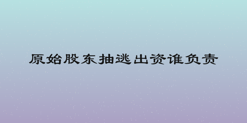 原始股东抽逃出资谁负责