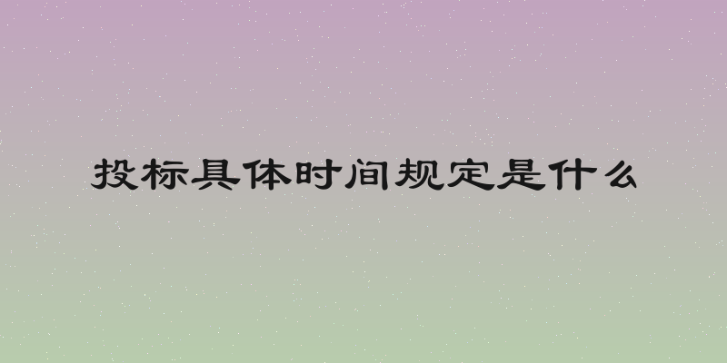 投标具体时间规定是什么