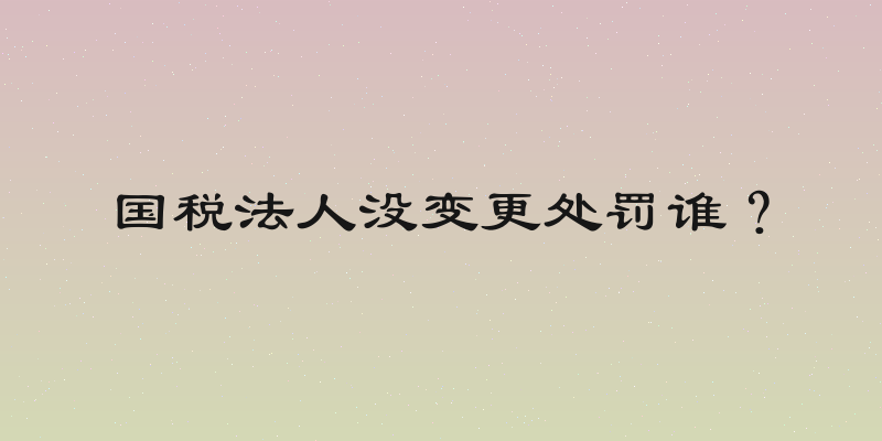 国税法人没变更处罚谁？