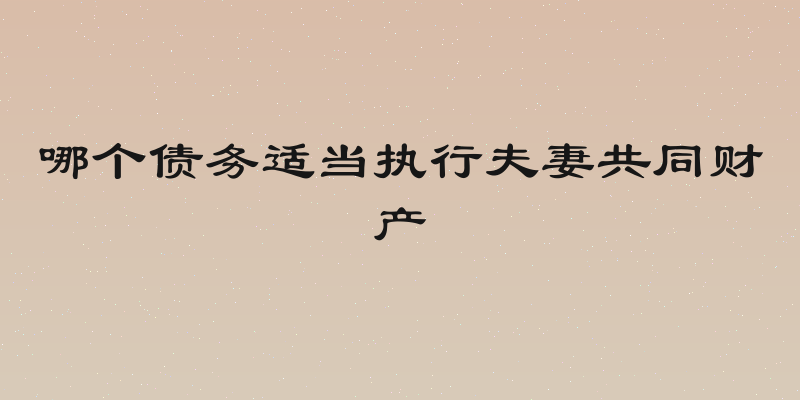 哪个债务适当执行夫妻共同财产