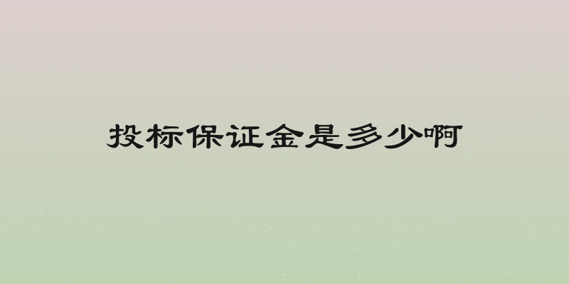投标保证金是多少啊