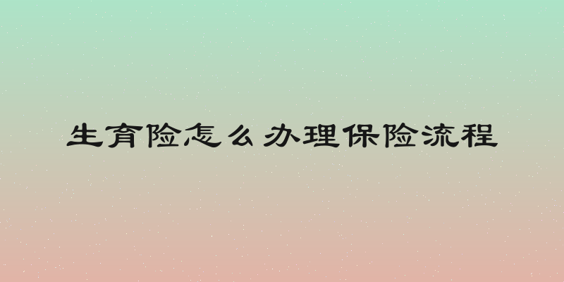 生育险怎么办理保险流程