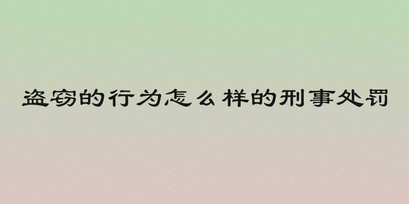盗窃的行为怎么样的刑事处罚