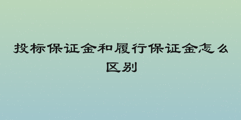 投标保证金和履行保证金怎么区别