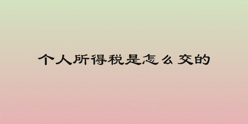 个人所得税是怎么交的