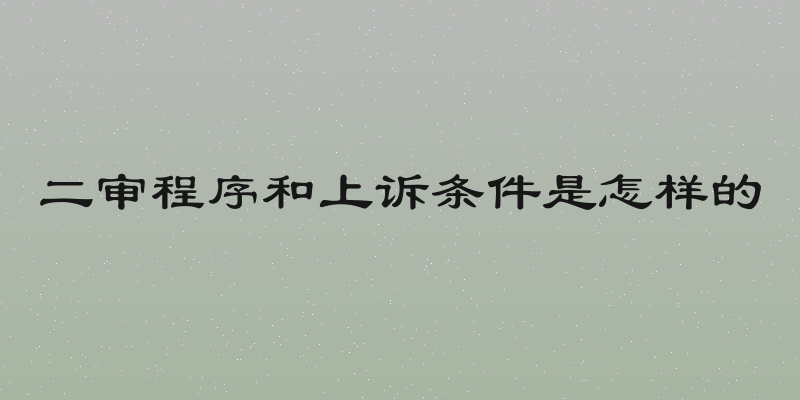 二审程序和上诉条件是怎样的