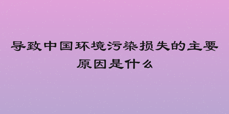 导致中国环境污染损失的主要原因是什么