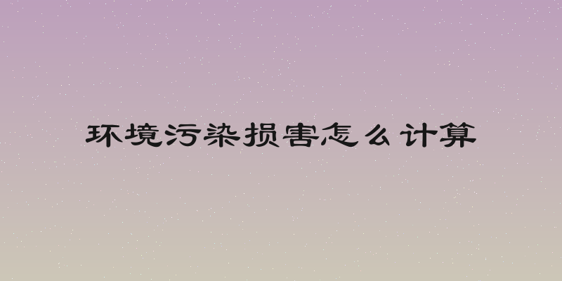环境污染损害怎么计算