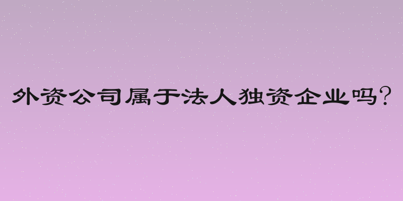 外资公司属于法人独资企业吗?