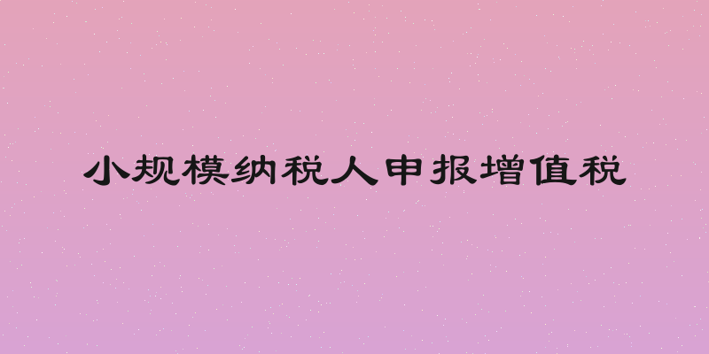 小规模纳税人申报增值税