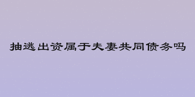抽逃出资属于夫妻共同债务吗
