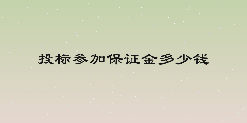投标参加保证金多少钱