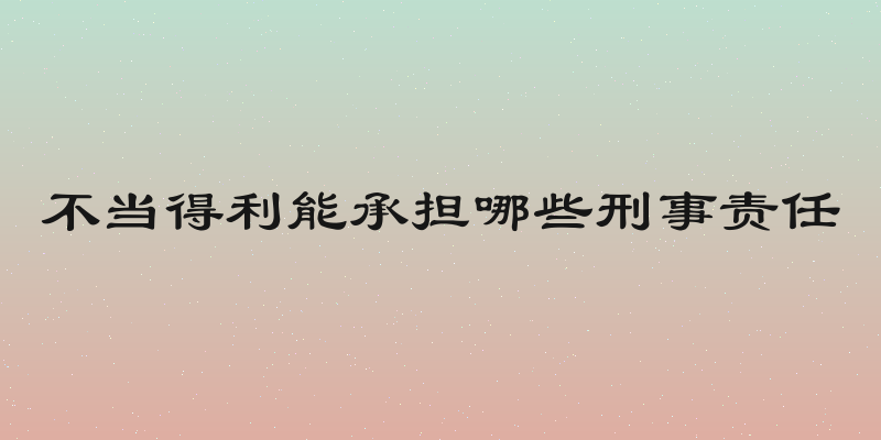 不当得利能承担哪些刑事责任