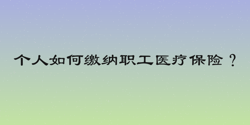 个人如何缴纳职工医疗保险？